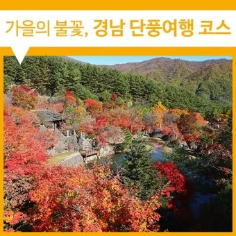 가을 단풍 여행지 베스트10 산책로 사진스팟 대중교통으로 여유롭게_20