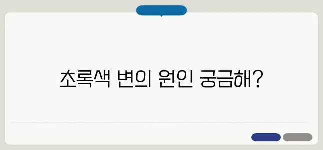 초록색 변이 나오는 이유와 건강 체크