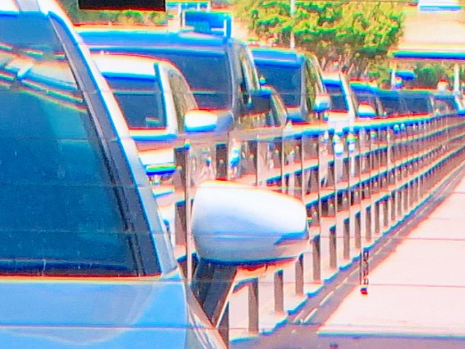 서울 근교 가을꽃 만발한, 경기도 고양시 강매석교공원 창릉천 코스모스축제