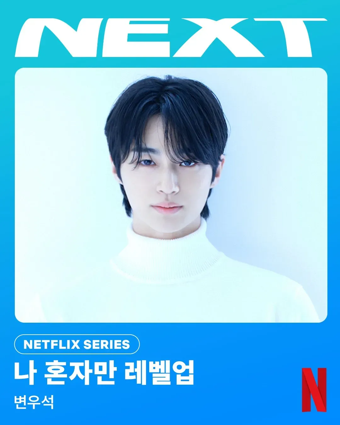 나-혼자만-레벨업