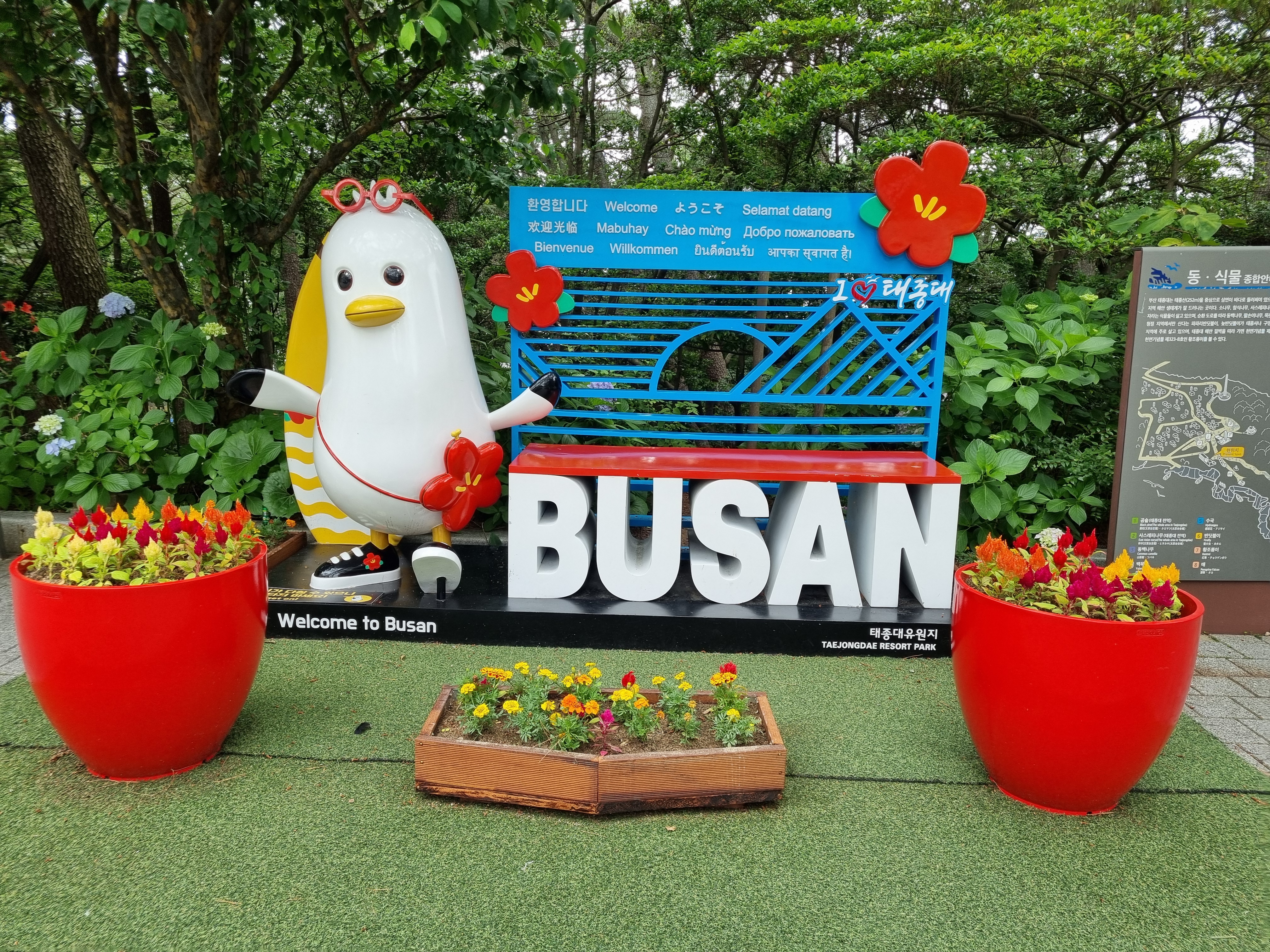 부산 태종대 폭염 여행 리얼후기🌊 여름 필수템 8가지 추천