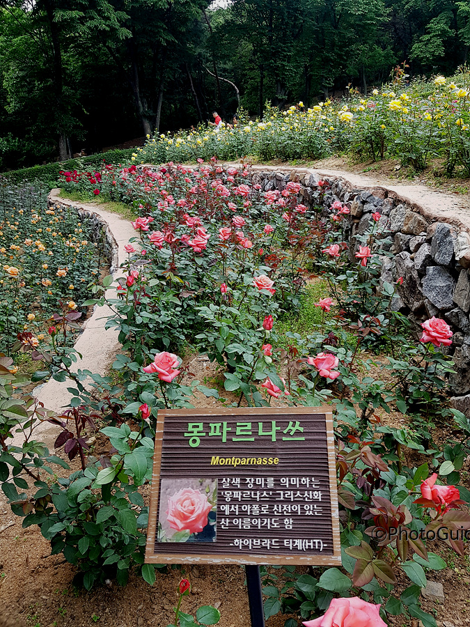 몽파르나쓰