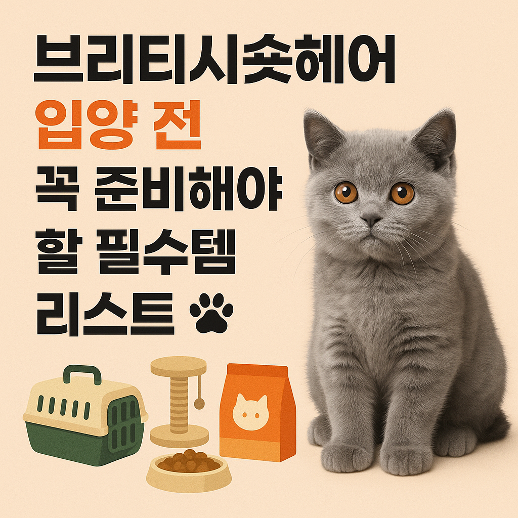 브리티시숏헤어