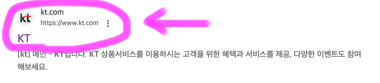 검색하면 보이는 kt 공식 홈페이지를 클릭하여 접속해 줍니다.