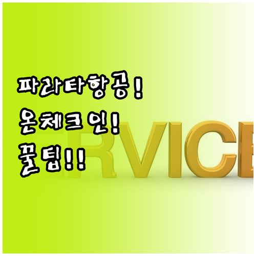 파라타항공 비행기 탑승 전 꼭 알아야..