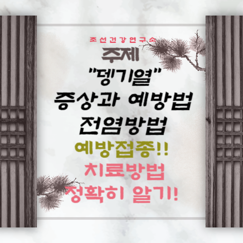 뎅기열 예방접종 증상 전염경로 치료방법 위험국가