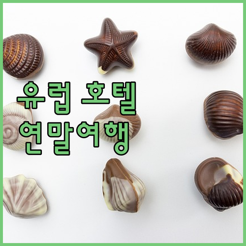 2025년, 특별한 연말! 네덜란드 ..