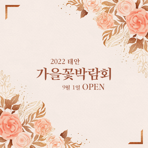 태안 가을꽃 박람회