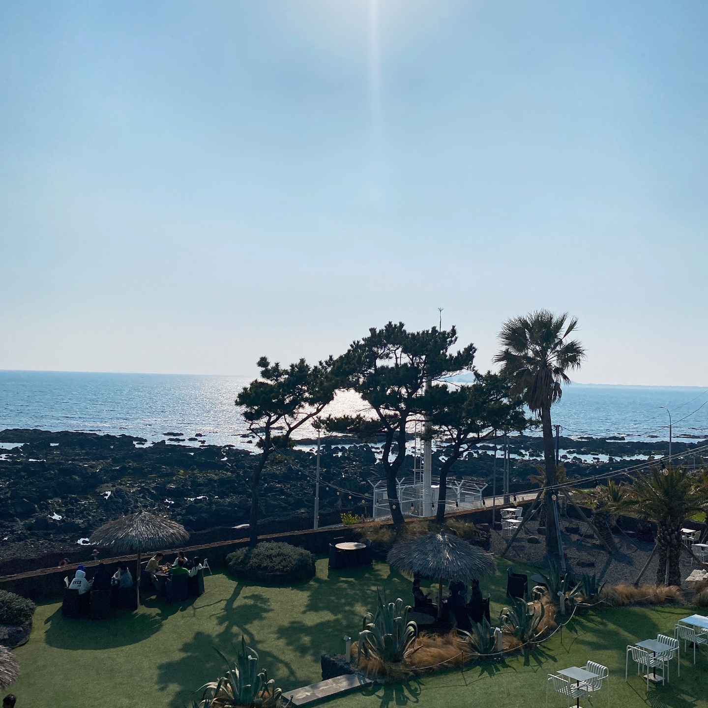 제주 안덕 유채꽃 포토존 오션뷰 카페 휴일로