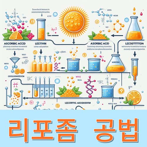리포좀-공법으로-탄생하는-비타민c