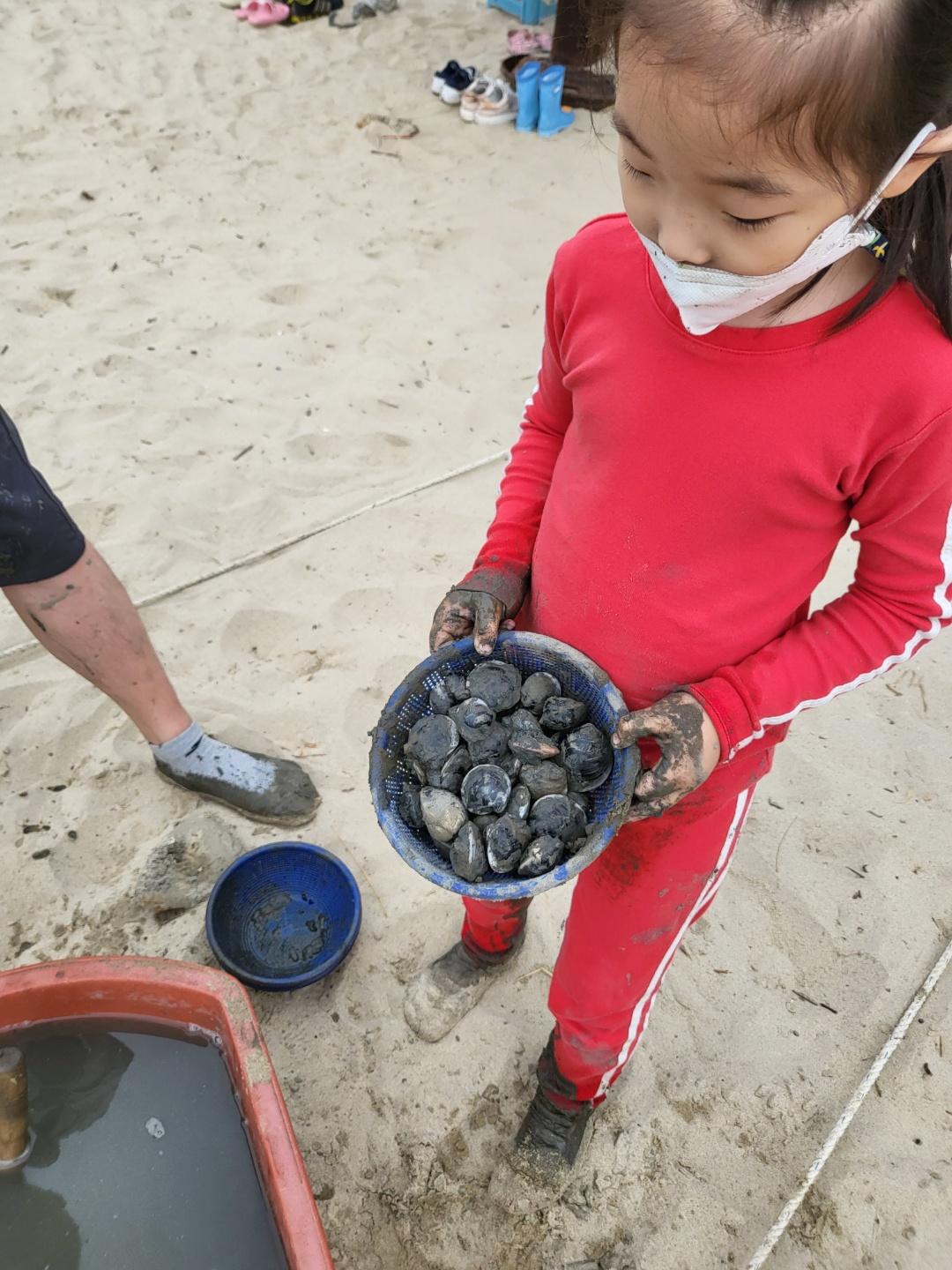서천 갯벌체험, 모시조개 캐기 (서천송림갯벌체험장)