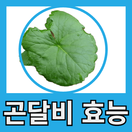 곤달비 효능