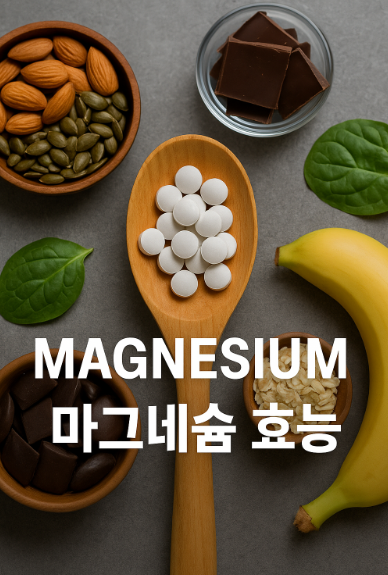 마그네슘 효능
