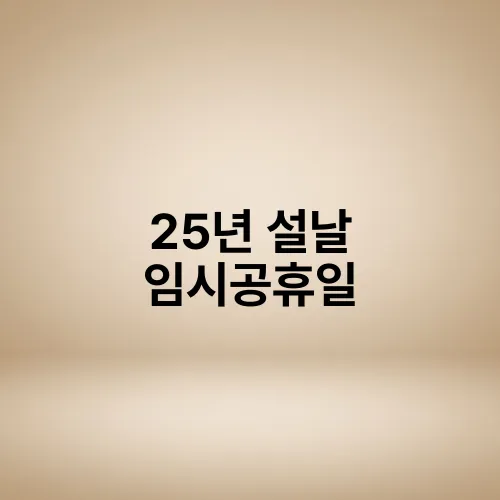 25년 설날 임시공휴일