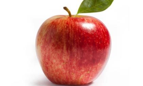 사과 사진