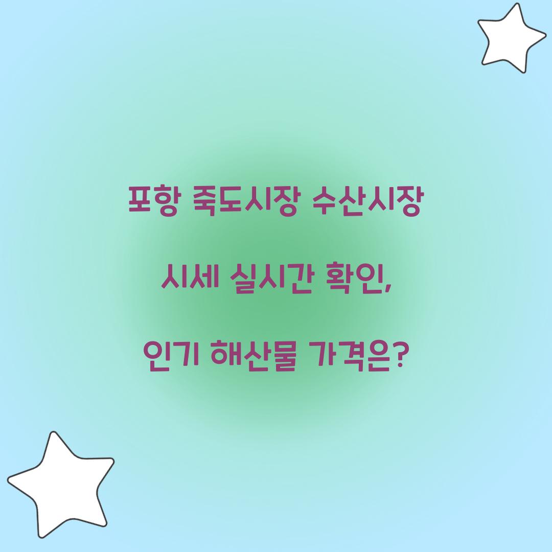 포항 죽도시장 수산시장 시세 실시간 확인