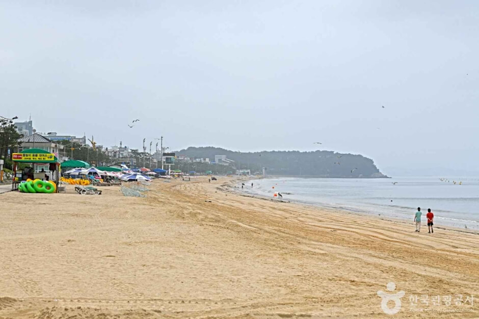 보령 가볼만한곳 베스트 10