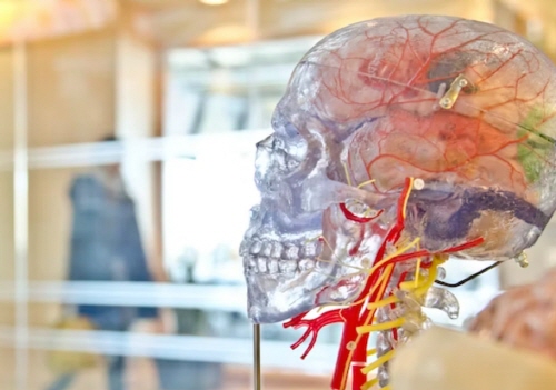 스테비아 방울토마토