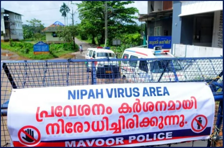 니파 바이러스 증상·치명률·여행 주의사항