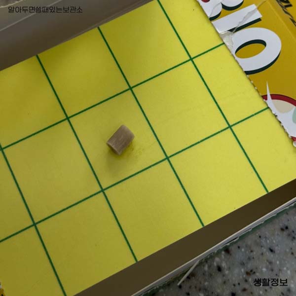 초파리 날파리 제거방법 다이소 리스테린 초파리싹