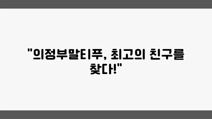 귀여운 말티푸