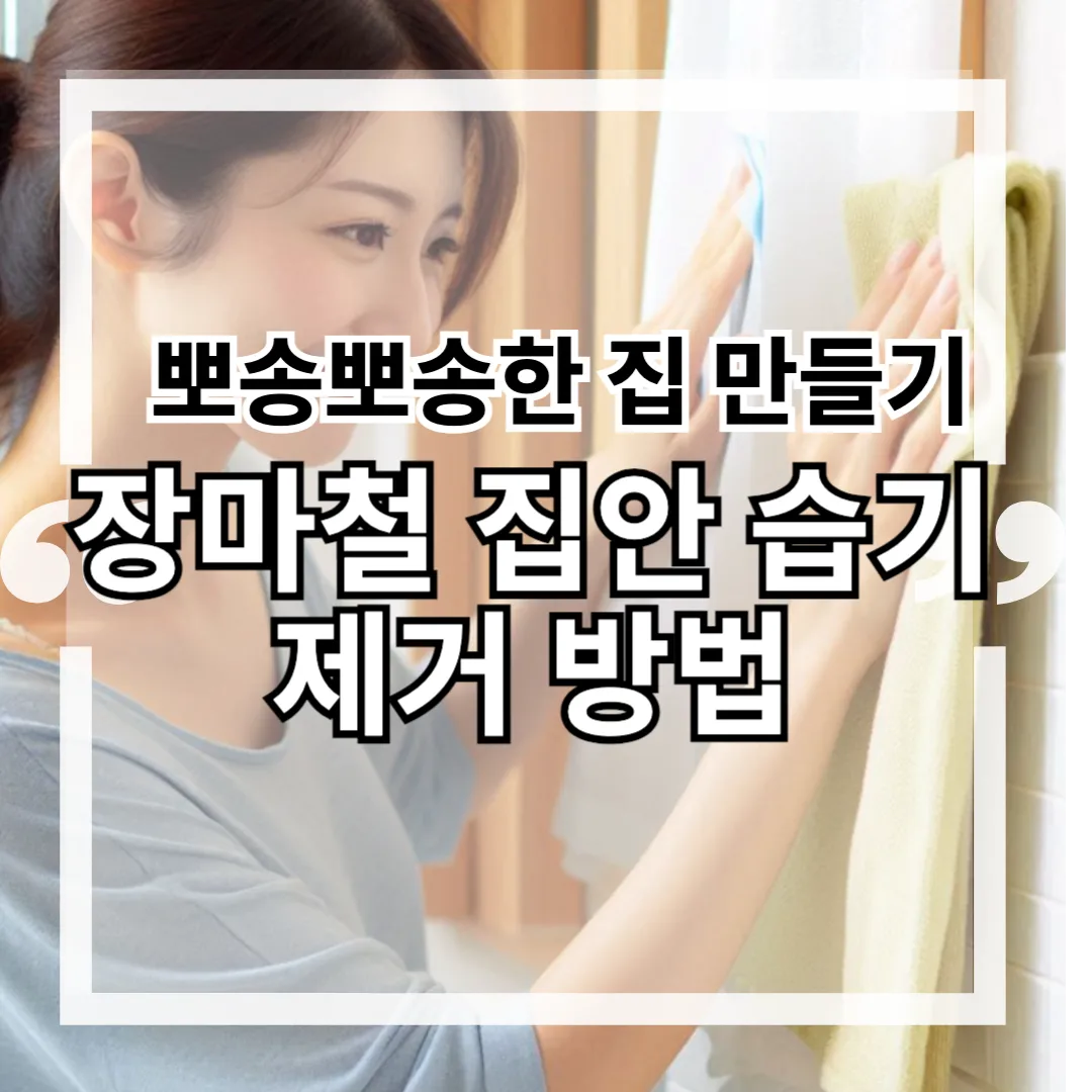 장마철 집안 습기제거 방법 : 뽀송뽀송한 집 만들기