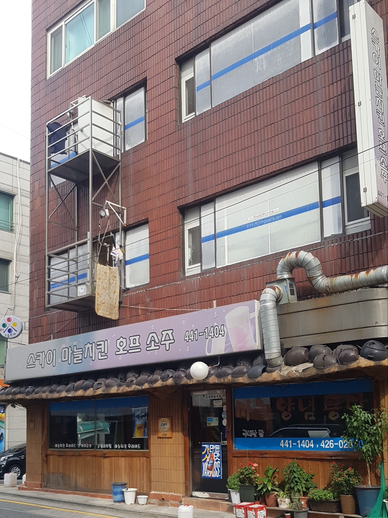 스카이마늘치킨