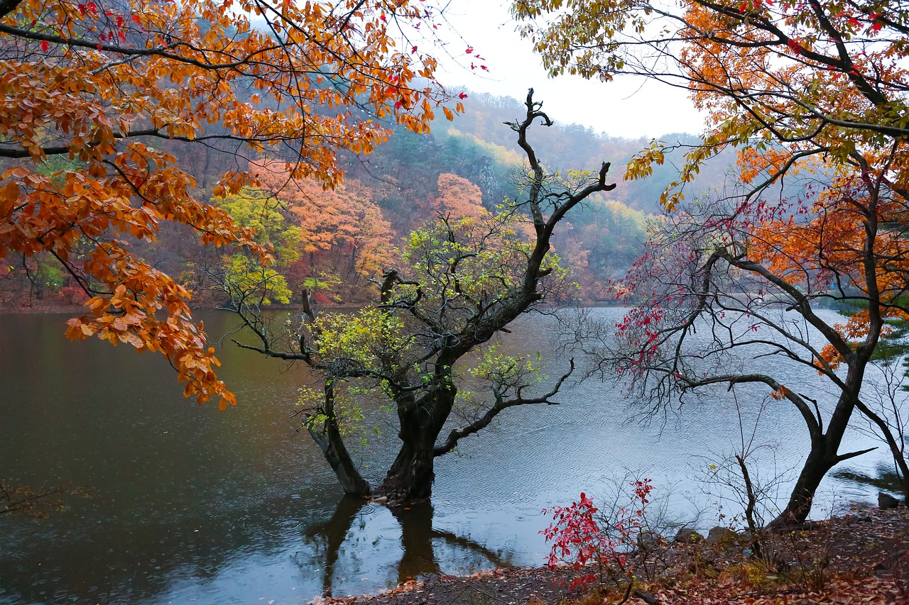 주왕산 주산지