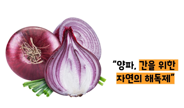 지방간에 좋은 음식 10