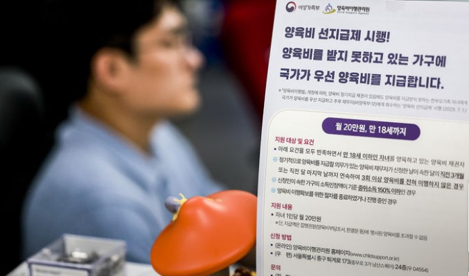 양육비 선지급금 
