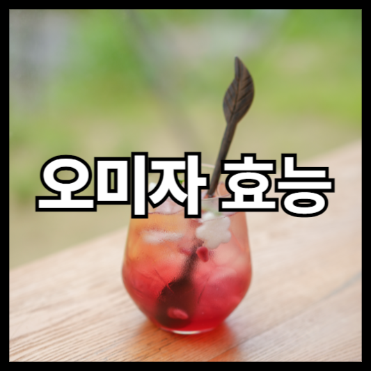 오미자 효능