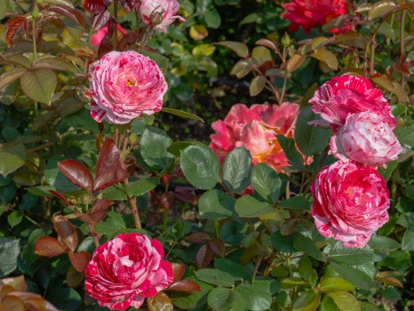 부산 정관 윗골공원