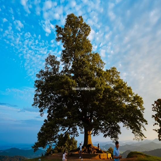 부여 가볼만한곳 베스트10