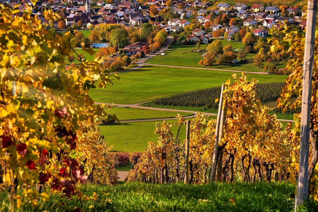 오대산 단풍 절정시기