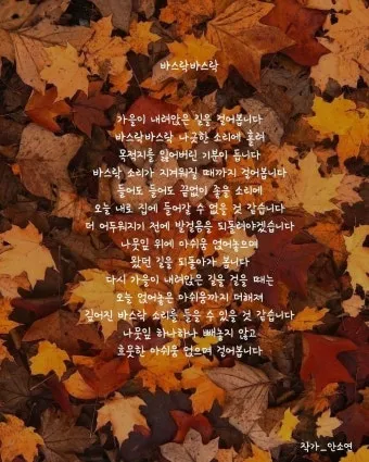 가을 시 모음 5편 추천 선별_24