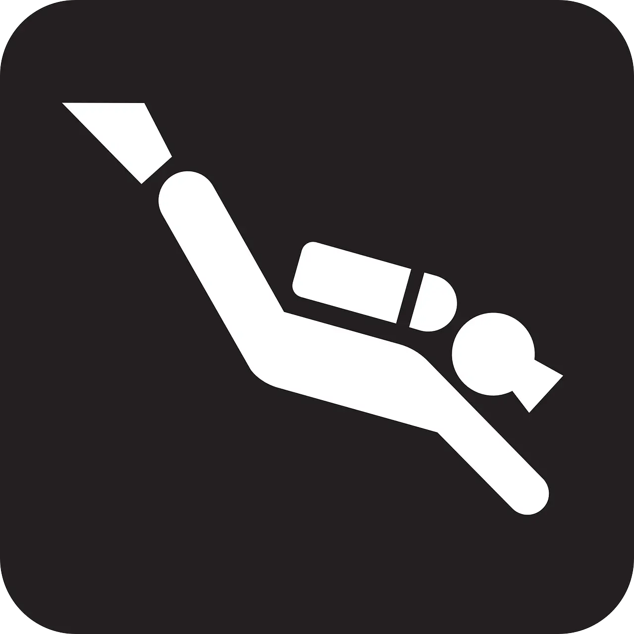 스쿠버다이빙 자격증, 처음 도전하는 사람을 위한 A to Z