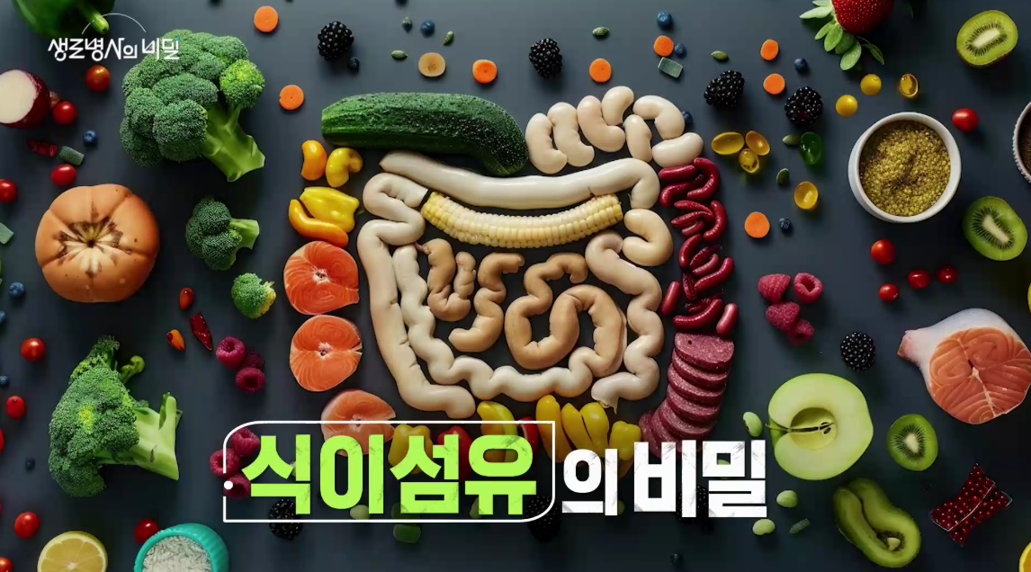 식이섬유