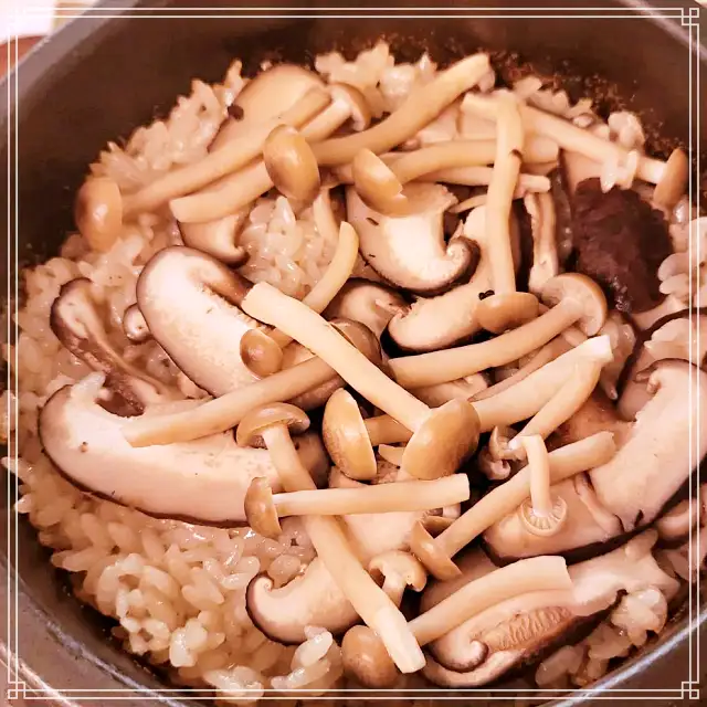 생방송투데이 송파 송리단길 전복 해산물 덮밥, 전복솥밥, 전복장, 전복떡갈비 맛집