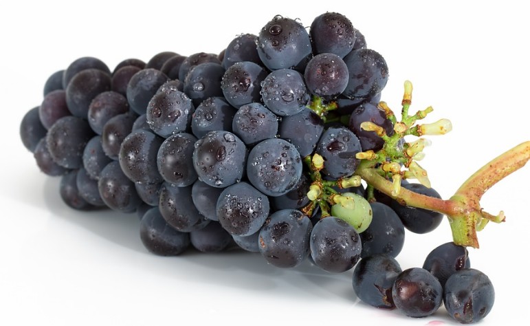 지방간예방, 간에 좋은 음식 간을 회복시켜주고 해독시켜주는 음식들