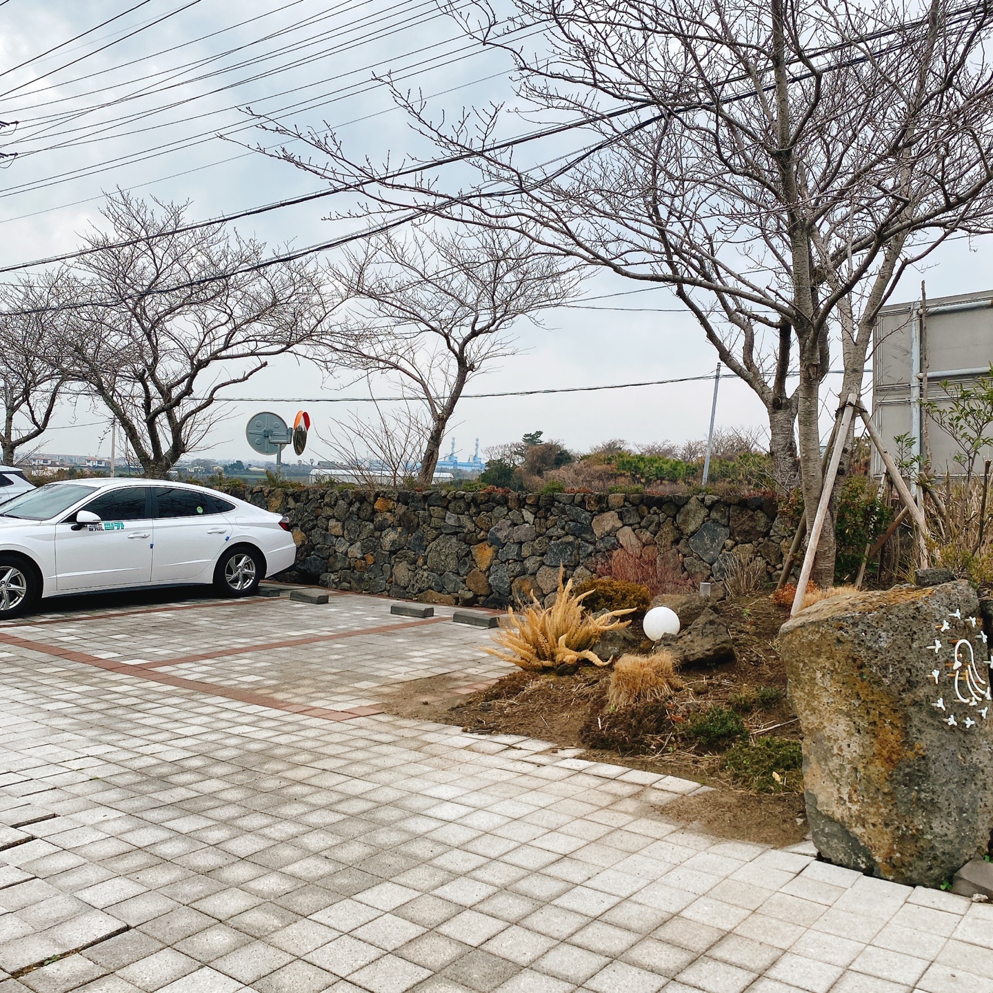 제주 한림공원 명월 디저트맛집 뵤뵤카페