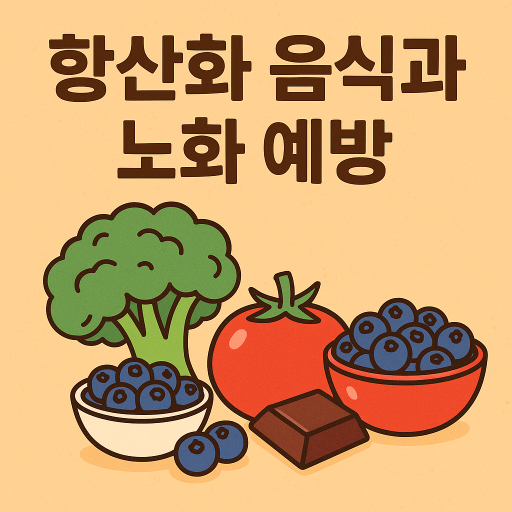 항산화 음식과 노화 예방