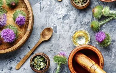 밀크시슬(Milk Thistle, 엉겅퀴)