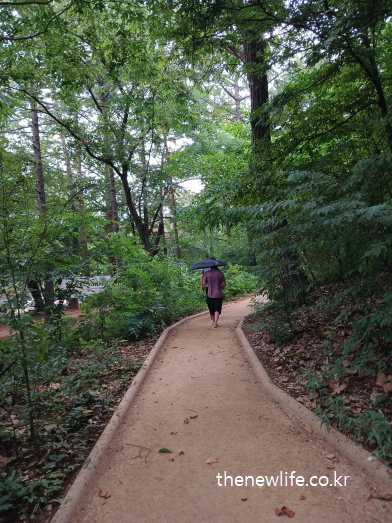 우산을 든 사람이 초록 나무 사이 흙길을 따라 걷고 있는 모습, 서울맨발 걷기 좋은곳 – 서울 어린이대공원