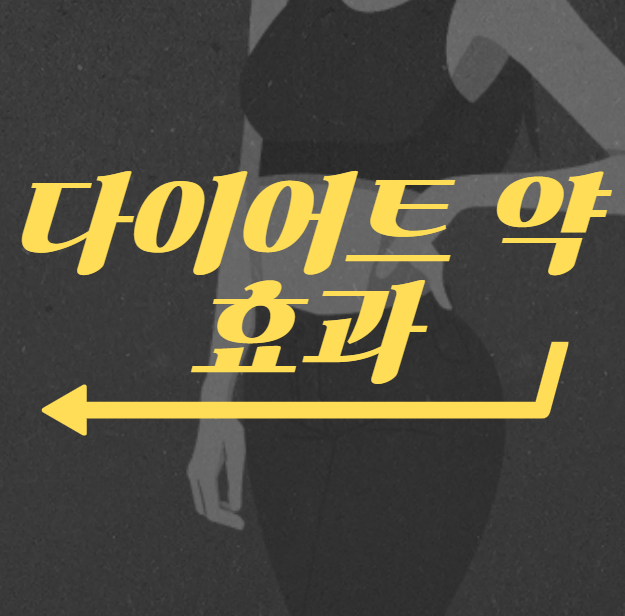 다이어트 약