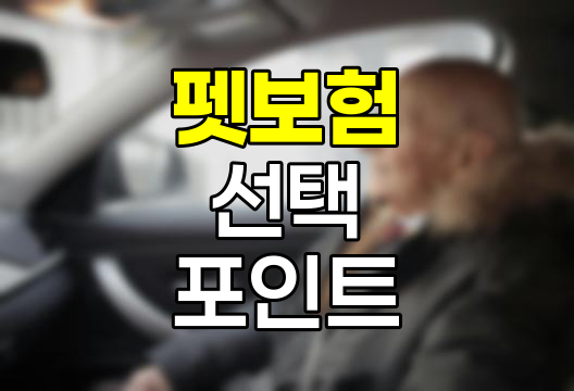 펫보험 선택 핵심 포인트, 반려동물 맞춤 보장