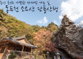 동두천 가볼만한곳 맛집 카페 추천 봄 현지인 코스_18