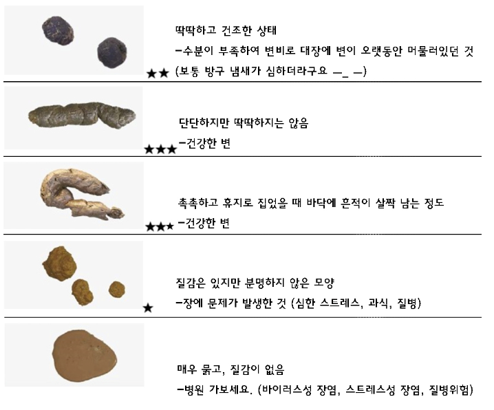변 형태별 원인/출처:구글