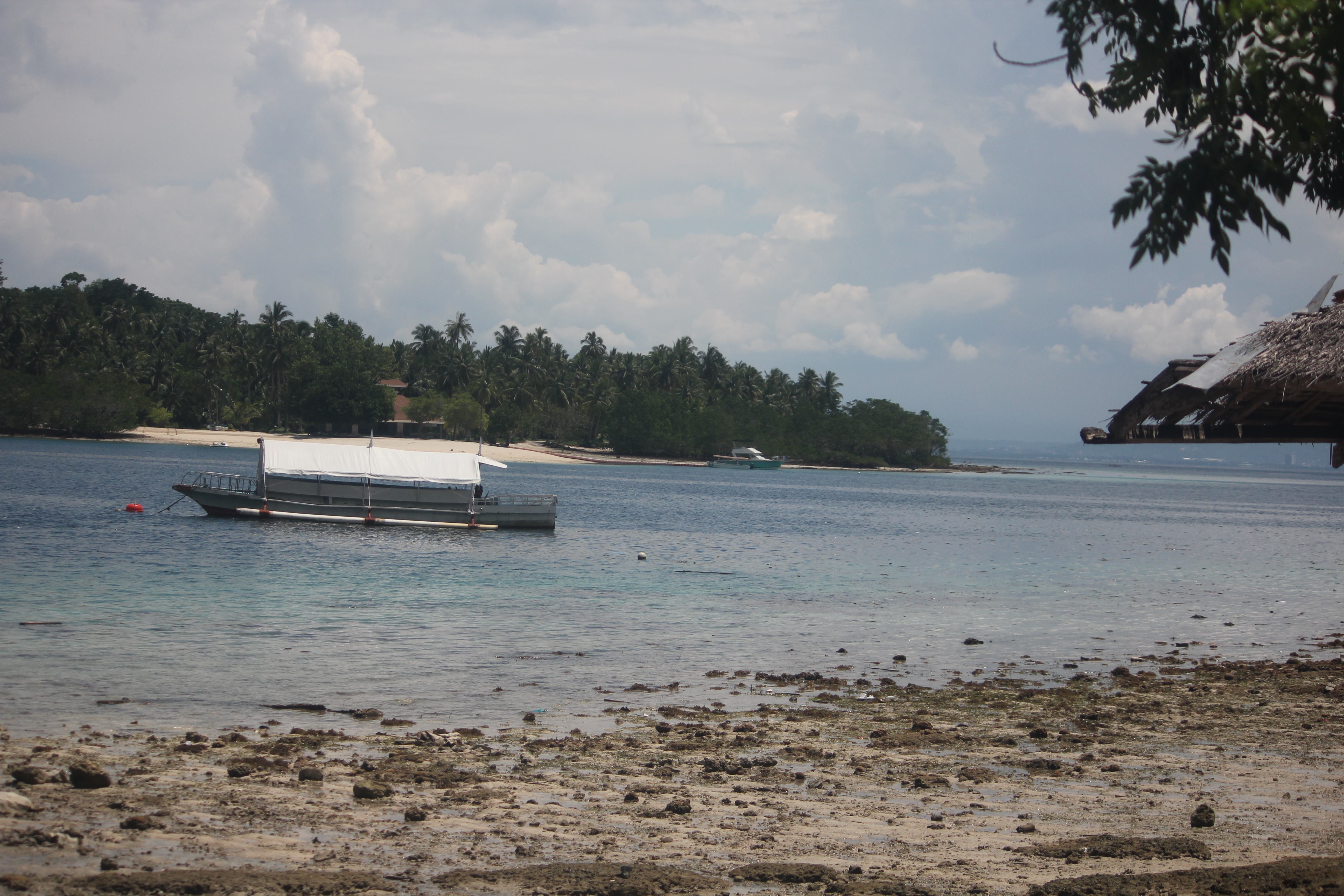 펄팜리조트가는길