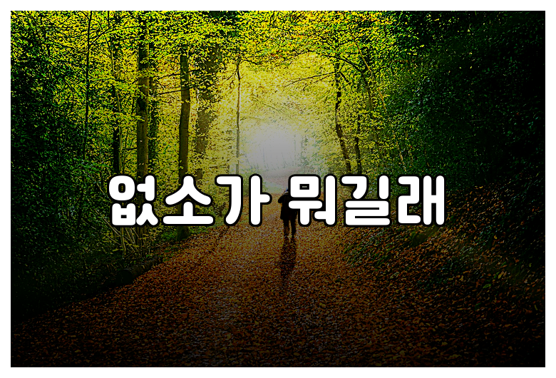 없소가 뭐길래