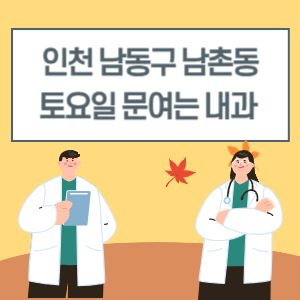 인천 남동구 남촌동 토요일 내과 진료 병원 리스트